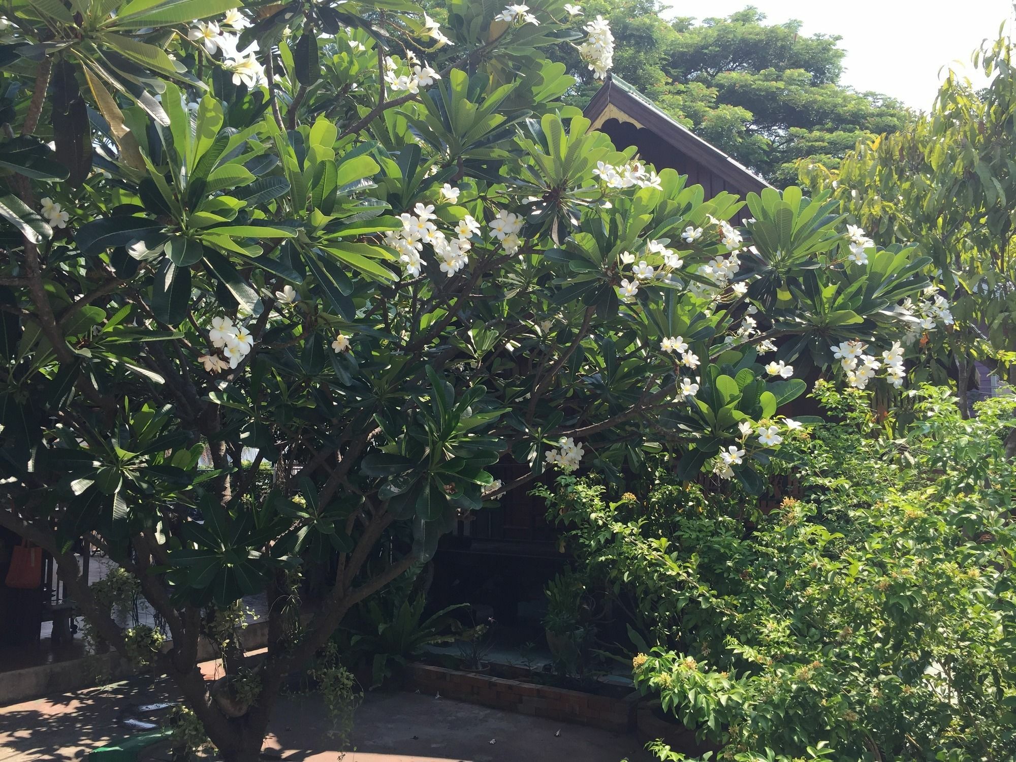 Baan Kong Homestay Ayutthaya Bagian luar foto